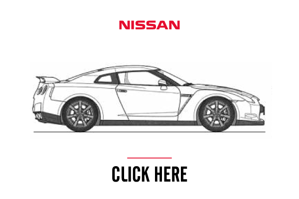 NISSAN GTR | Fiebruz Motorsports